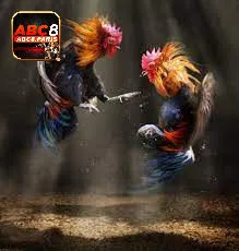 Câu chuyện xoay quanh về đá gà thomo