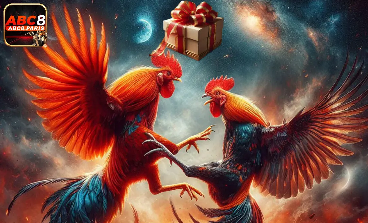 Lý do khi nên chọn đá gà ABC8