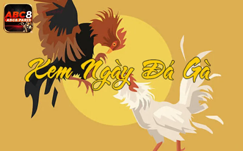 Đá gà ABC8 – Sân chơi đỉnh cao của những người mê đá gà trực tuyến 2 Ưu điểm nổi bật về công nghệ đá gà ABC8